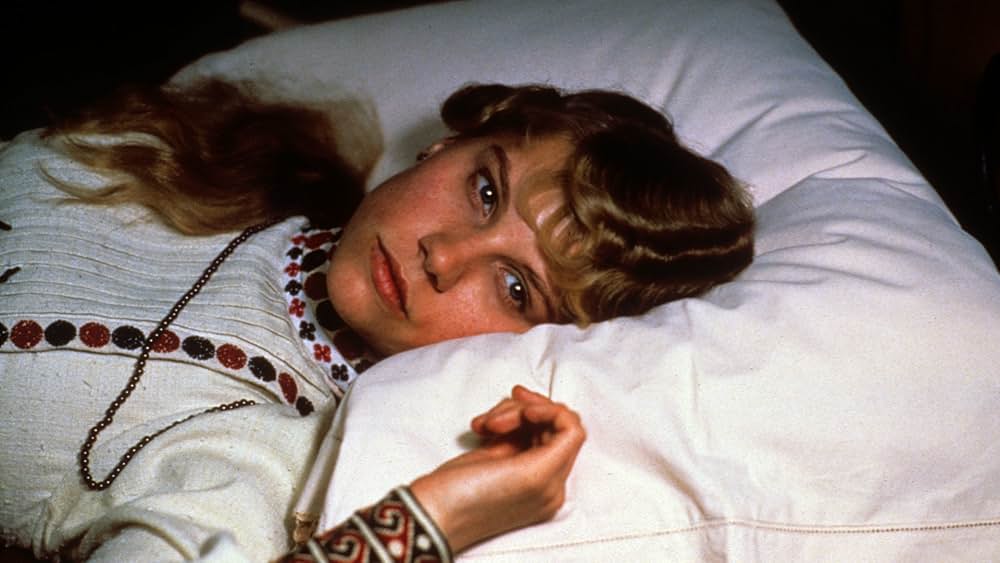 レインボウの画像