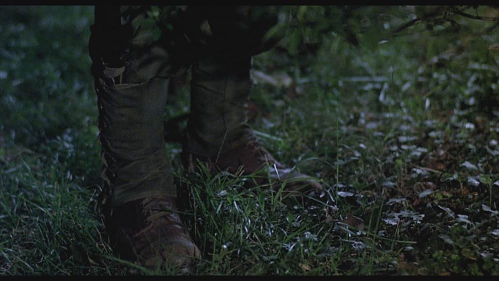 ローズマリーの画像