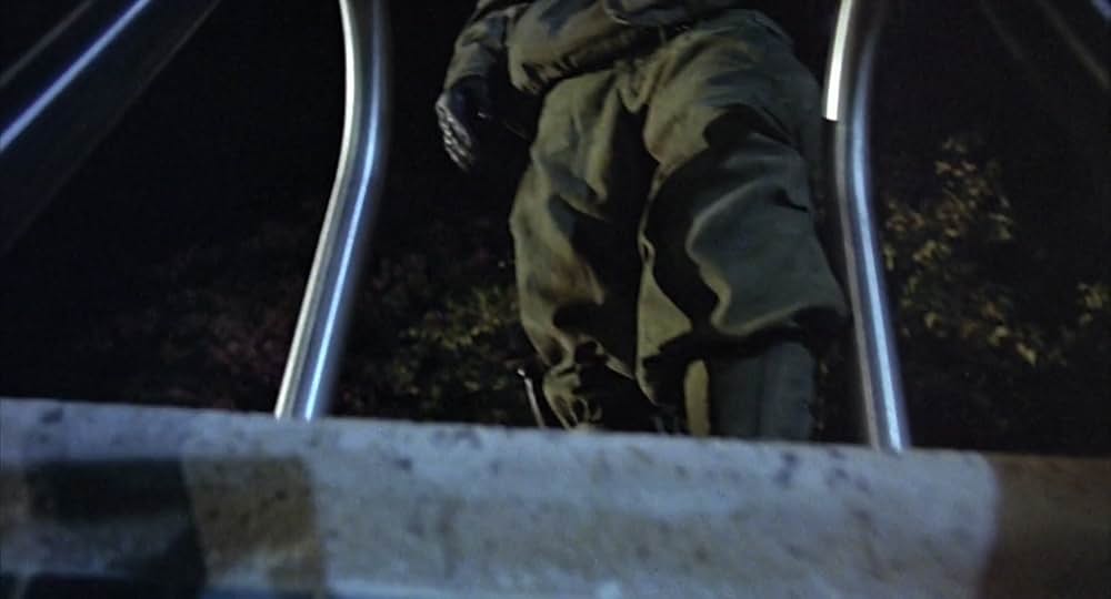 ローズマリーの画像