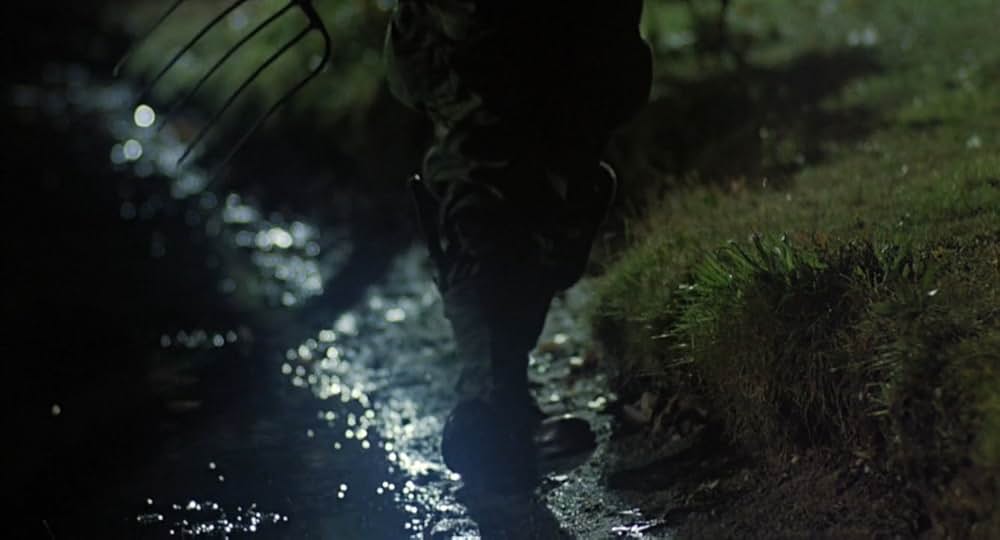 ローズマリーの画像