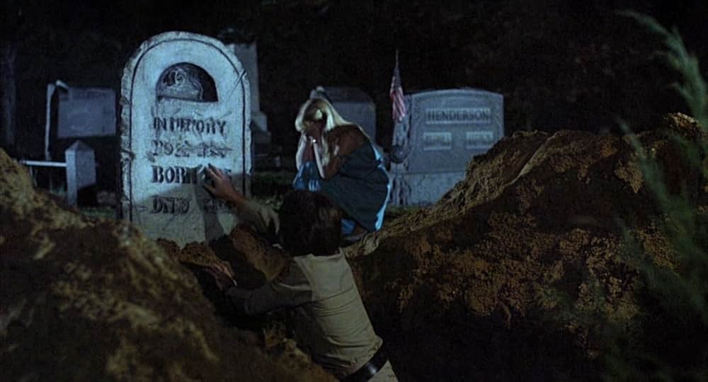 ローズマリーの画像