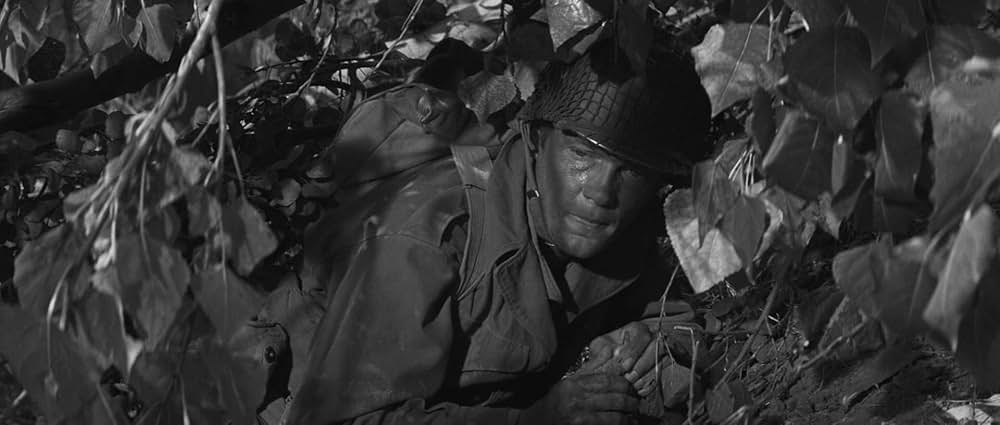 若き獅子たちの画像