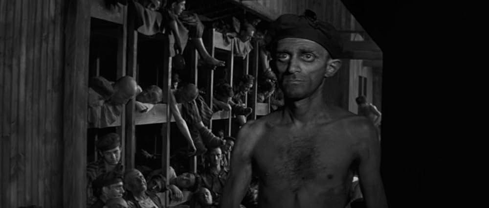 若き獅子たちの画像