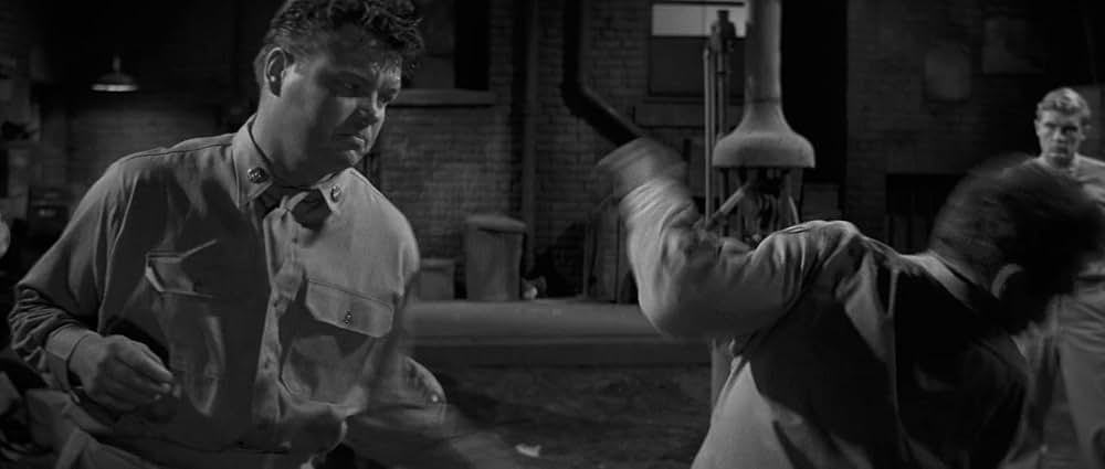 若き獅子たちの画像