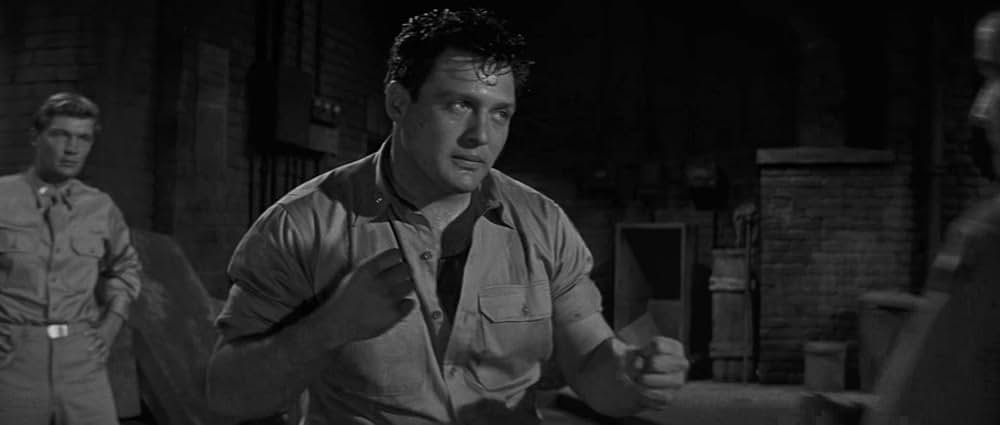 若き獅子たちの画像