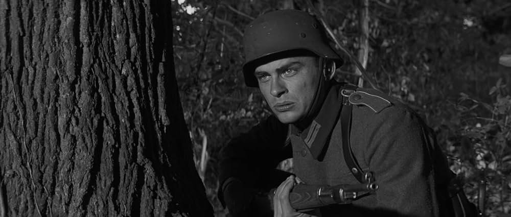 若き獅子たちの画像