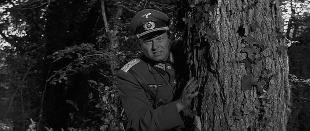 若き獅子たちの画像