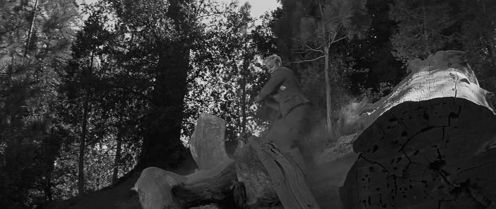 若き獅子たちの画像