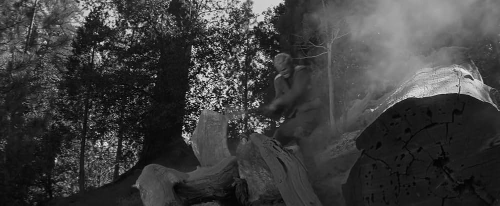 若き獅子たちの画像