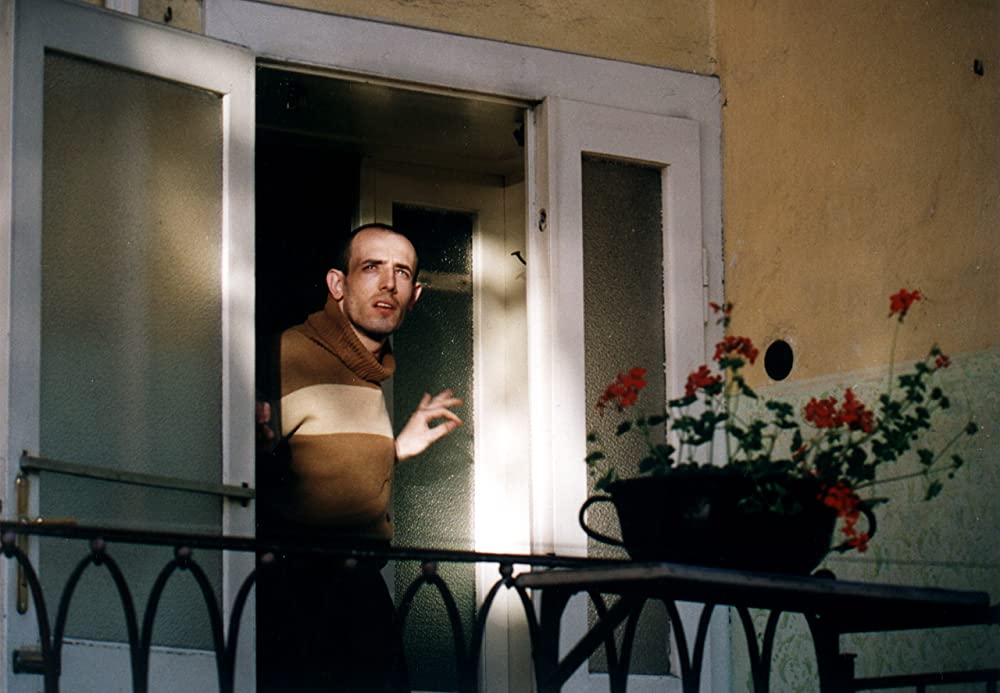 この素晴らしき世界の画像