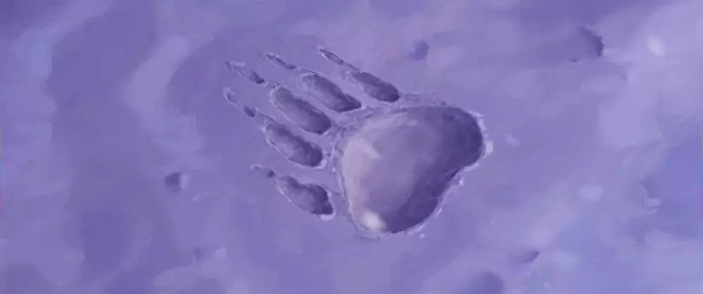 ブラザー・ベアの画像