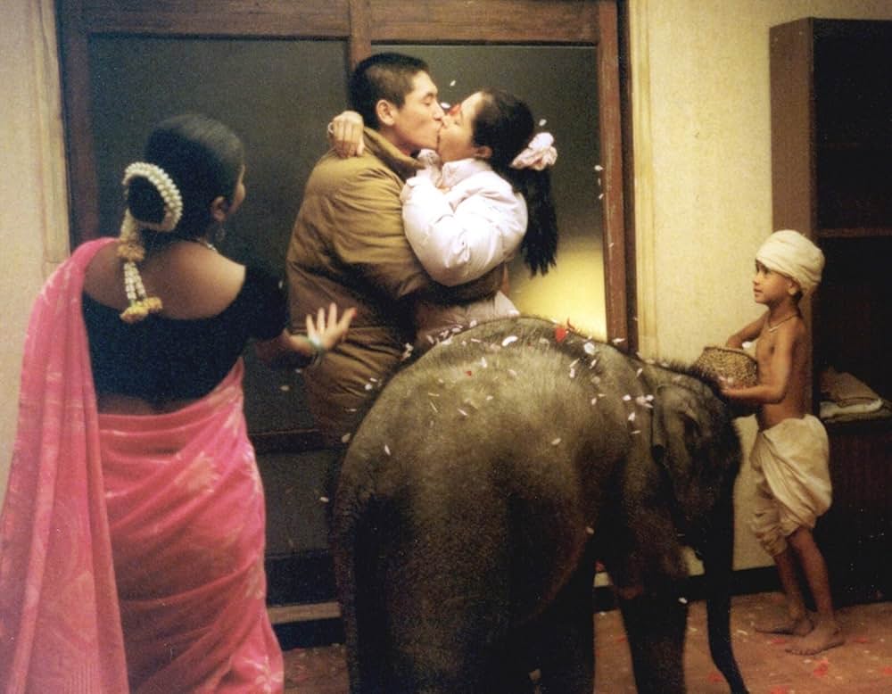 オアシスの画像