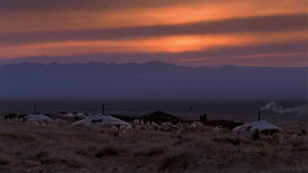 らくだの涙の画像