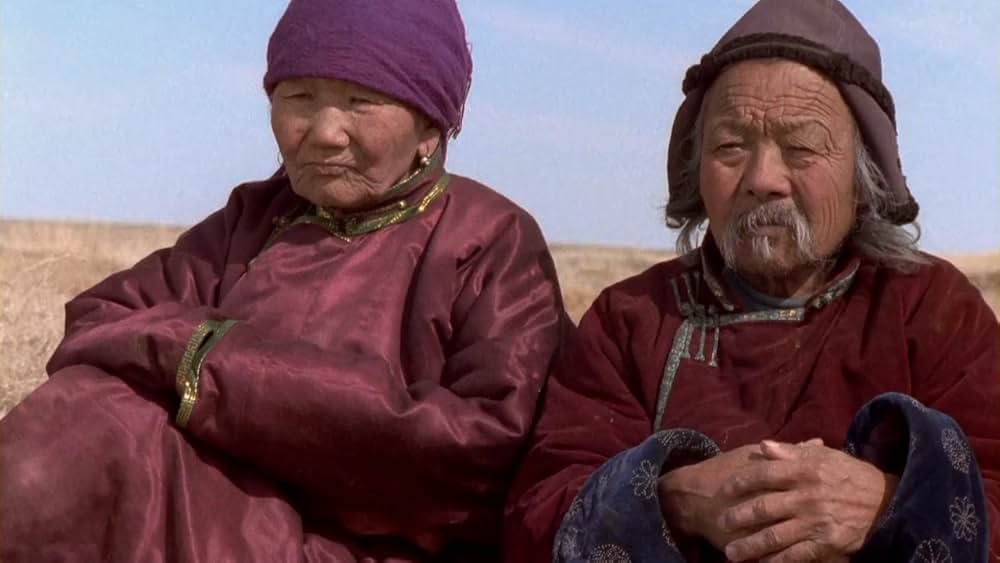 らくだの涙の画像