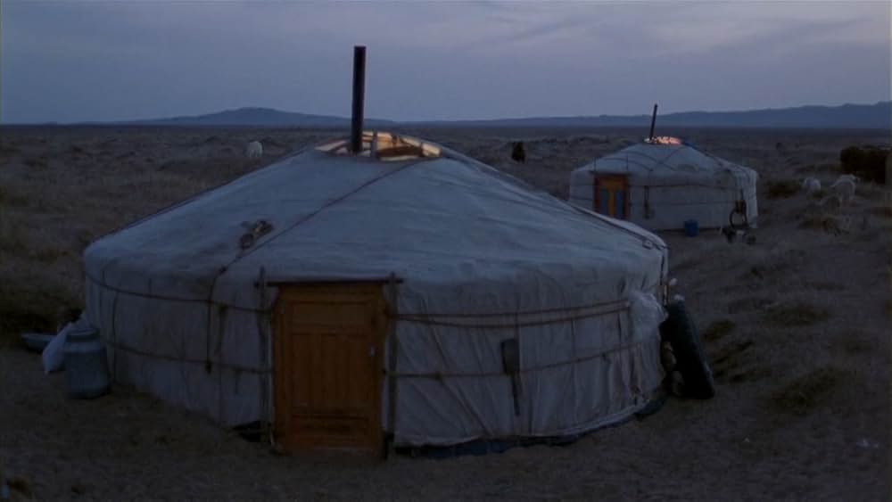 らくだの涙の画像