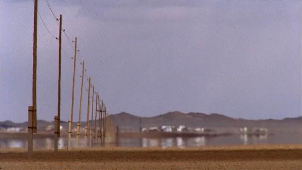 らくだの涙の画像