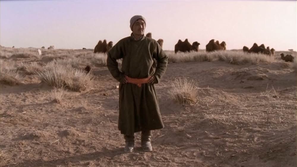 らくだの涙の画像