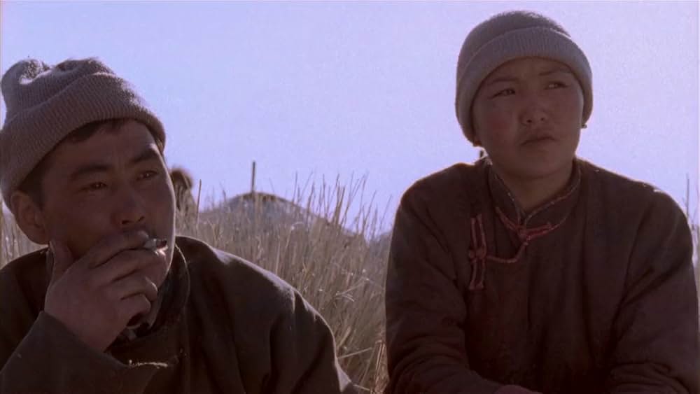 らくだの涙の画像