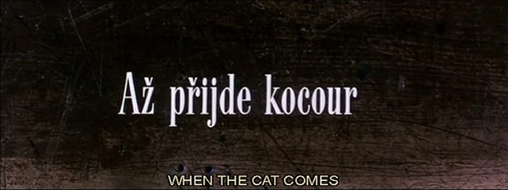 猫に裁かれる人たちの画像