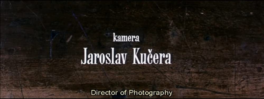 猫に裁かれる人たちの画像