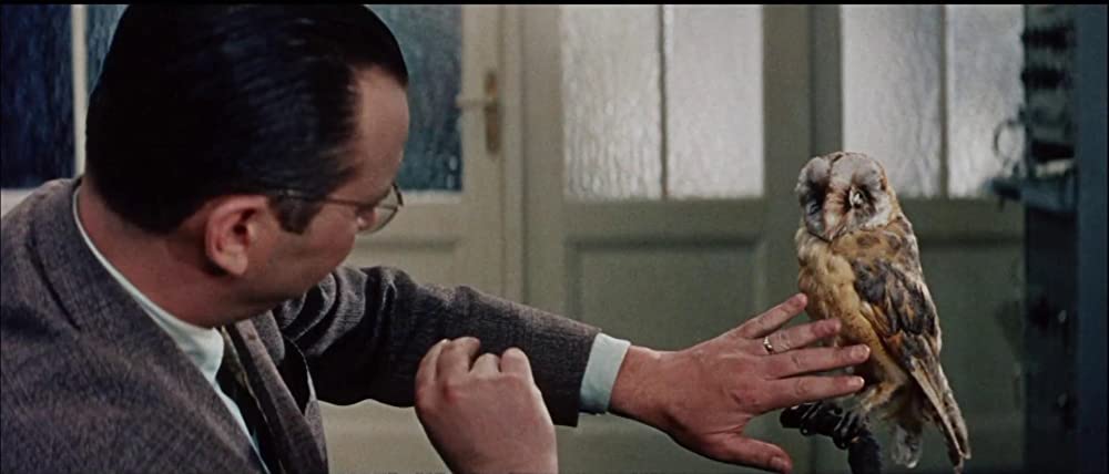 猫に裁かれる人たちの画像