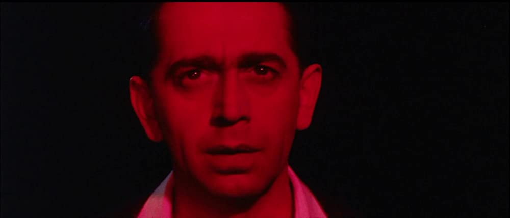 猫に裁かれる人たちの画像