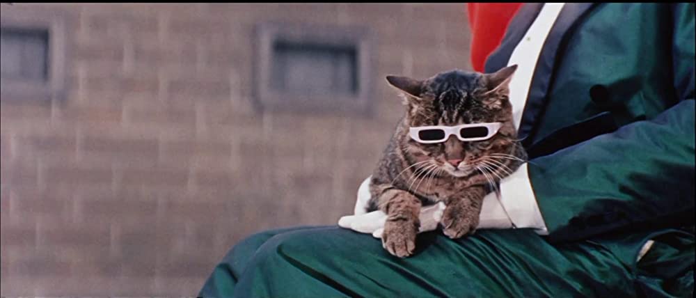 猫に裁かれる人たちの画像