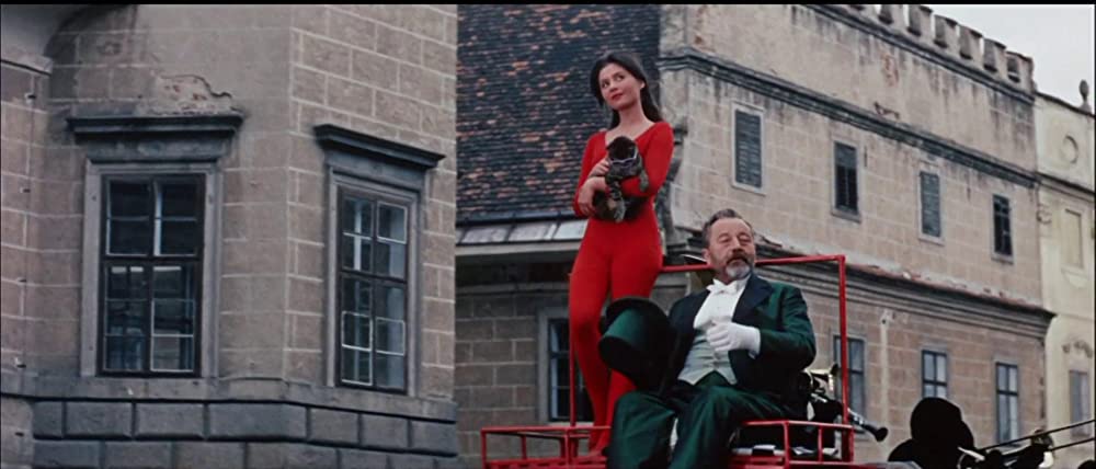 猫に裁かれる人たちの画像