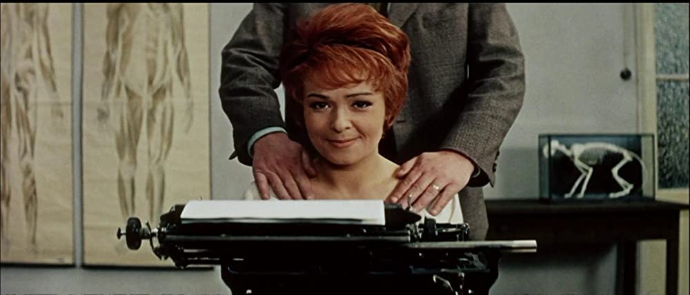 猫に裁かれる人たちの画像