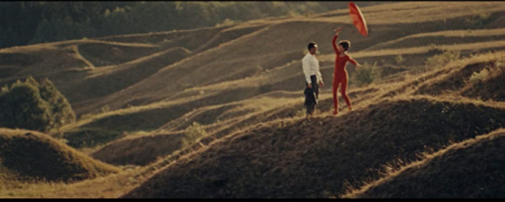 猫に裁かれる人たちの画像