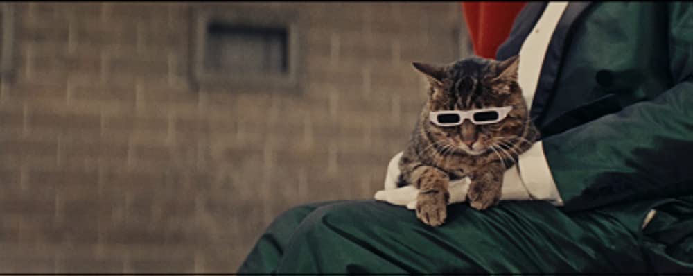 猫に裁かれる人たちの画像