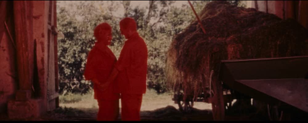 猫に裁かれる人たちの画像