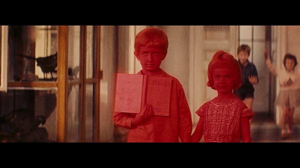 猫に裁かれる人たちの画像