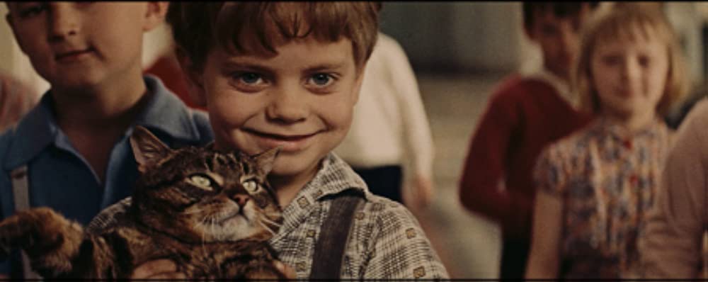 猫に裁かれる人たちの画像