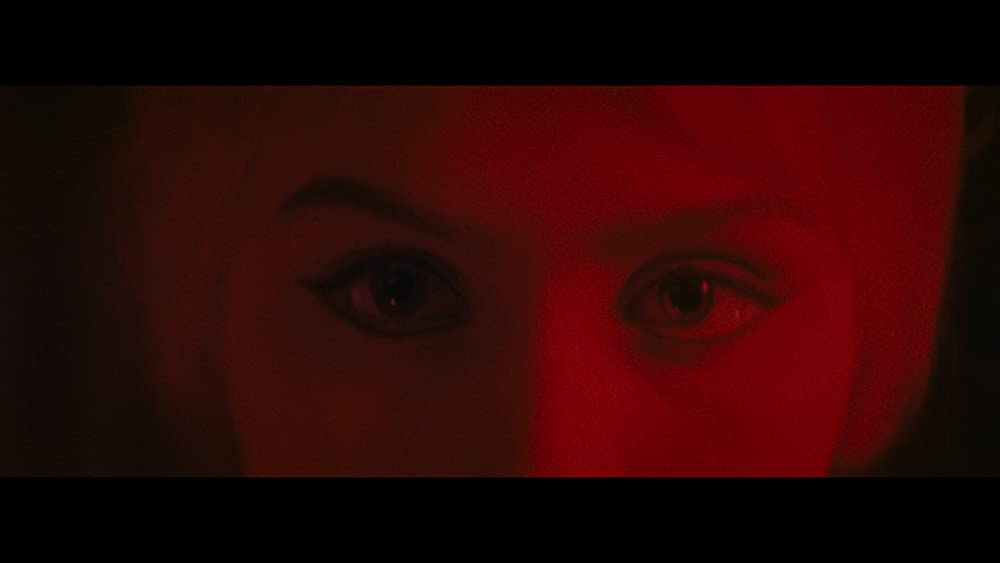 猫に裁かれる人たちの画像