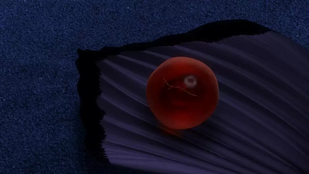 ファインディング・ニモの画像