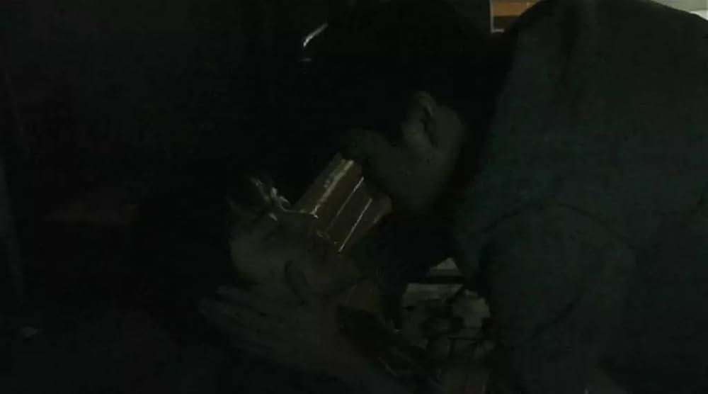 スプリング・フィーバーの画像