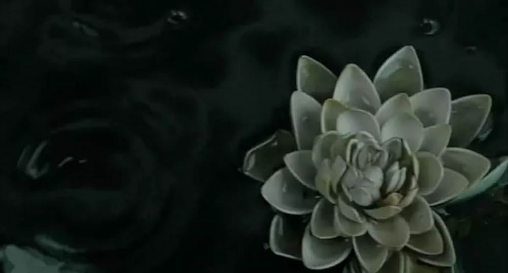 スプリング・フィーバーの画像