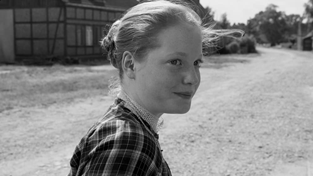 白いリボンの画像