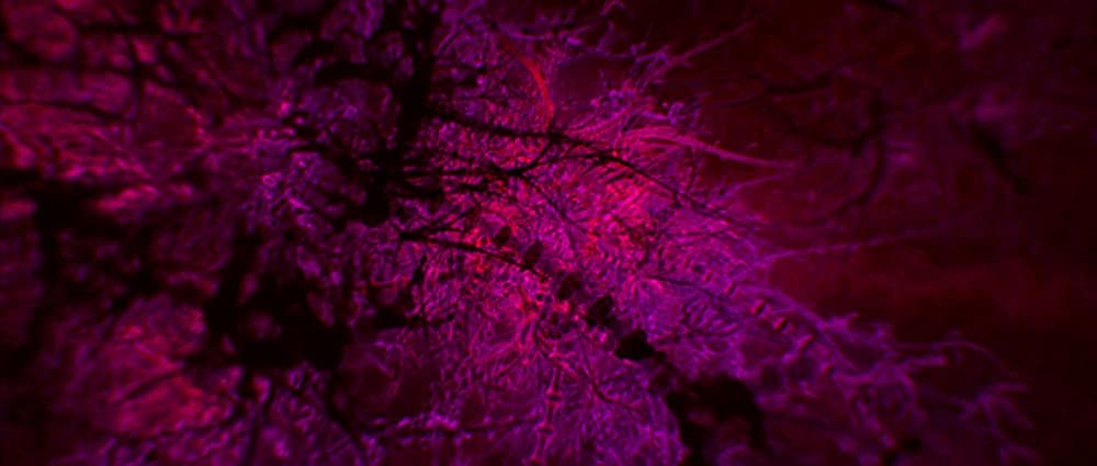 「エンター・ザ・ボイド」の画像