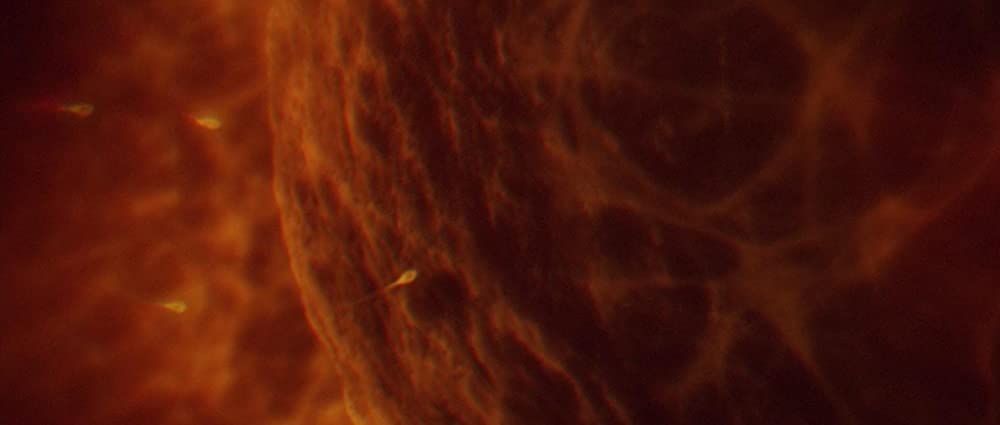 「エンター・ザ・ボイド」の画像