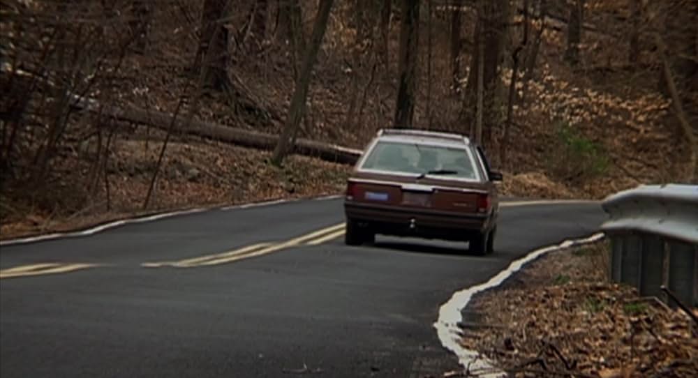 エイプリルの七面鳥の画像