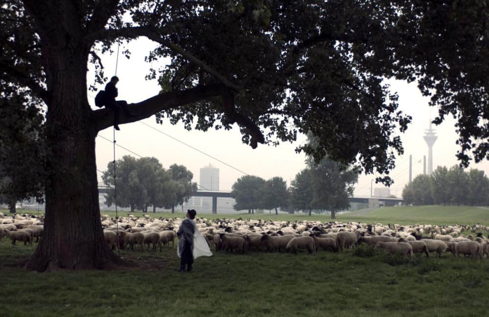 パレルモ・シューティングの画像