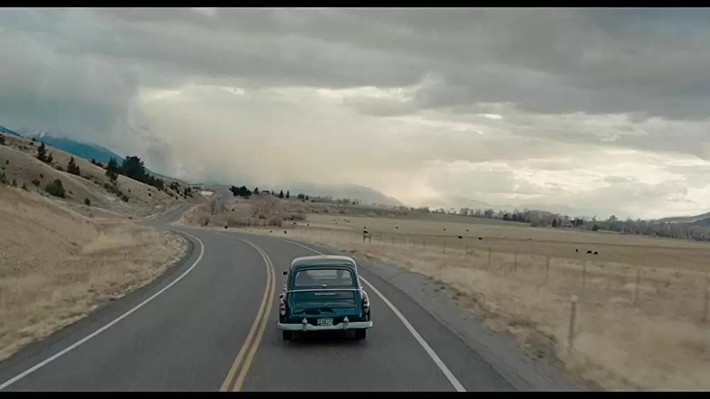 ワイルドライフの画像