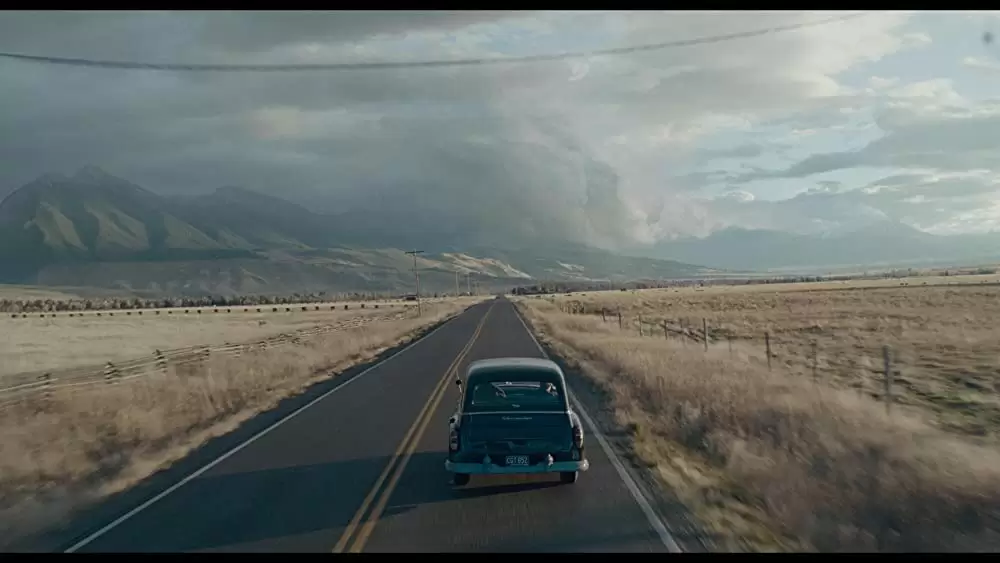 ワイルドライフの画像