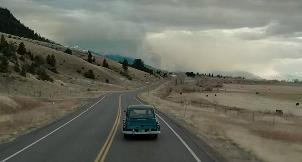 ワイルドライフの画像