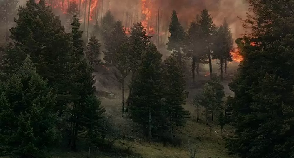 ワイルドライフの画像