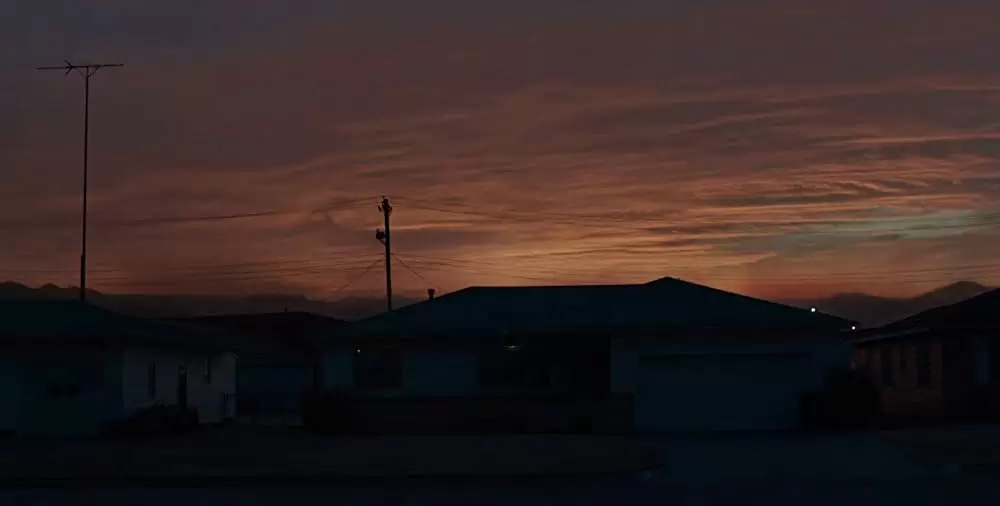 ワイルドライフの画像