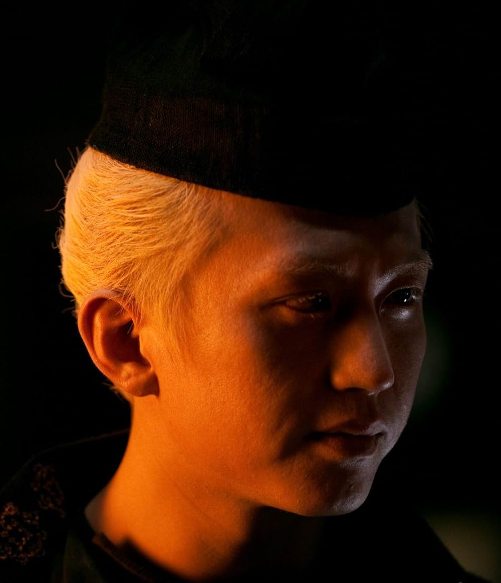 王朝の陰謀 判事ディーと人体発火怪奇事件の画像