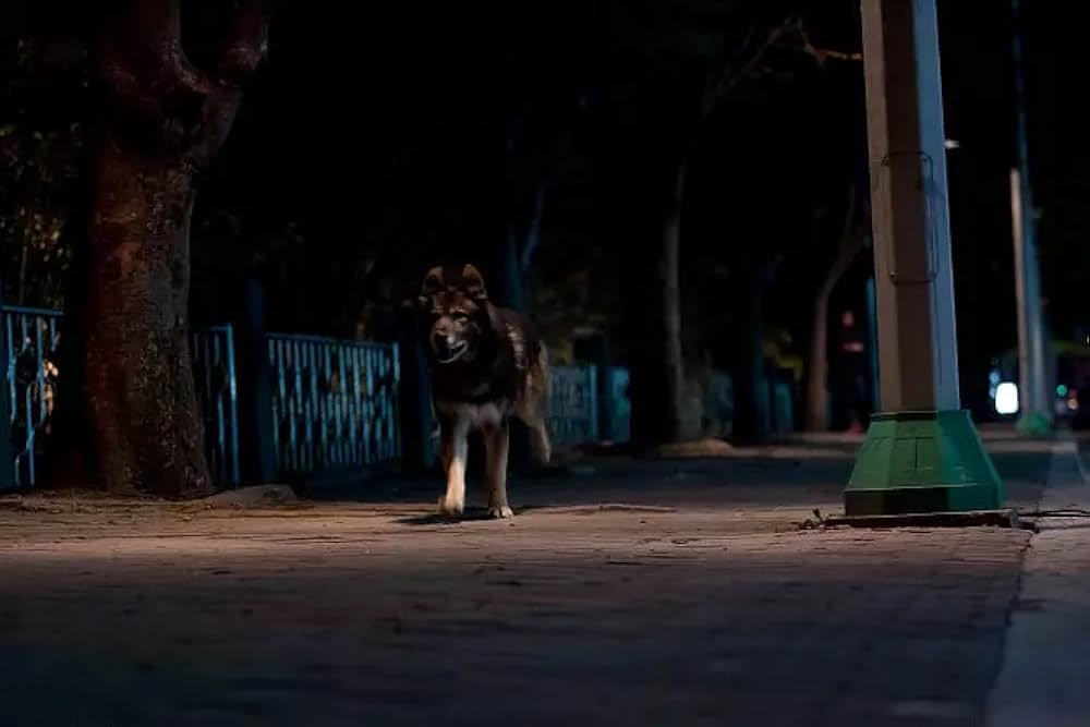 凍える牙の画像